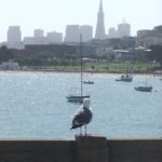 San Fransisco Downtown. The building aren't so high here, it might be that it's not worth to build them - or because of the earthquake hazard. See the triangle building? It's Transamerica building, the tallest in SF, and it was built especially to withstand earthquakes.