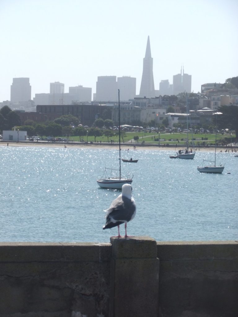 San Fransisco Downtown. The building aren't so high here, it might be that it's not worth to build them - or because of the earthquake hazard. See the triangle building? It's Transamerica building, the tallest in SF, and it was built especially to withstand earthquakes.