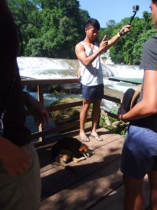 09172014-23  guess - A Korean taking picture with the waterfalls and the sleepy dog on the deck =)