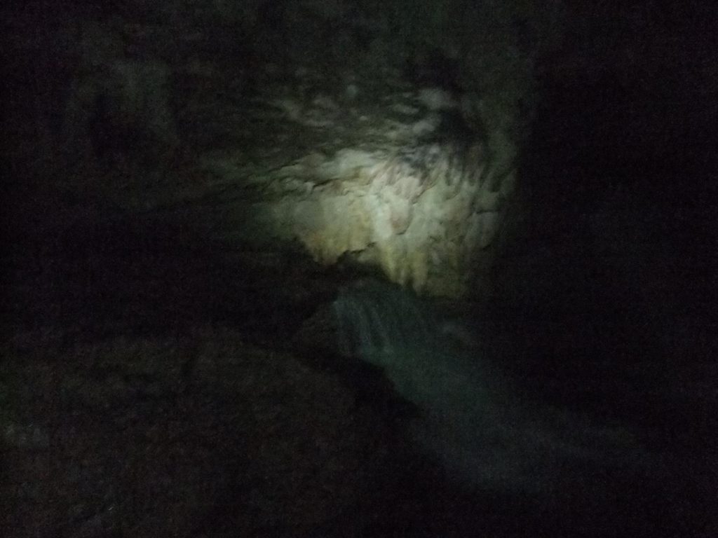 guess -   The stalactite cave with the fountain, behind the Misol-Ha Waterfall