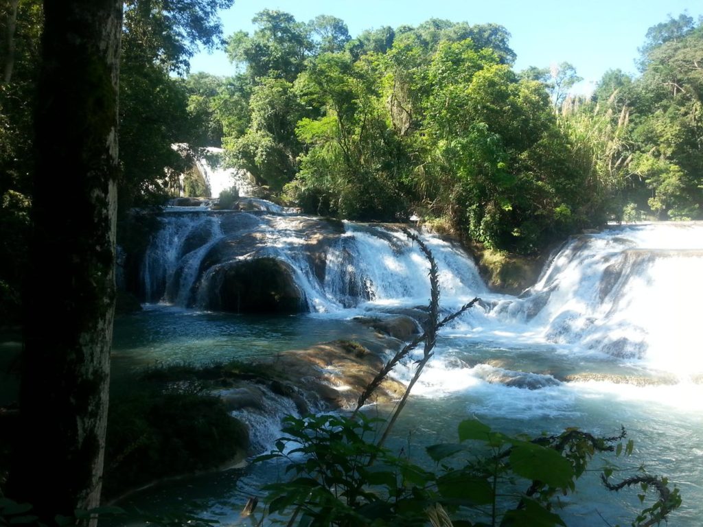Cascadas the agua azul (blue water waterfalls)