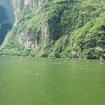 Sumidero - Birds on the river