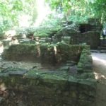 A bridge on the stream and the the "Queens' Bath" waterfalls on the edge of the site.