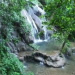 A bridge on the stream and the the "Queens' Bath" waterfalls on the edge of the site.