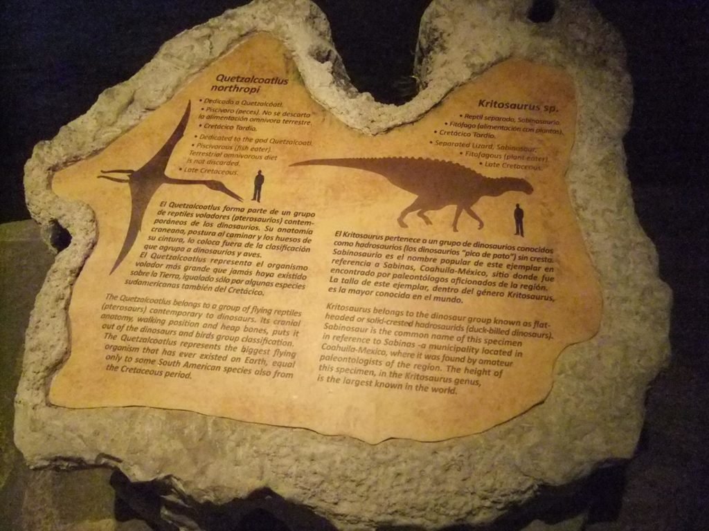 Along the paths of the park, there explanations about caves, stalactites, caveman, Geology.... - grand finale 