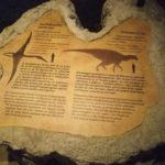 Along the paths of the park, there explanations about caves, stalactites, caveman, Geology.... - grand finale 