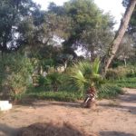 The Templers cemetery. There are no longer Templers in Israel, the Templers community of USA and Australia finance the maintenance of the cemetery.