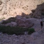 An ibex, watching us as we go