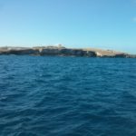 The cliffs on the North-East of Malta main island - Comino