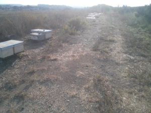 Some beehives on the levee - Al-Lubban  