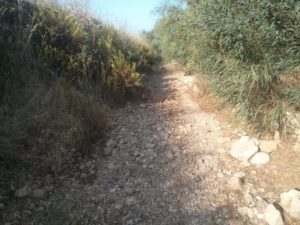 Running in Wadi Beit-Arif looking for the railway bridge. I only found it on the way back. - Al-Lubban