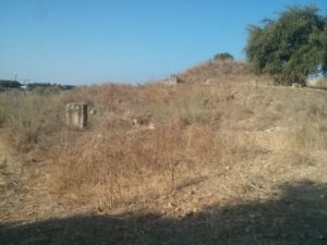 The columns were used to load the train with stones from a nearby quarry - Al-Lubban