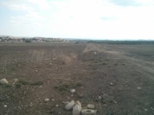 On the way back the levee is more easy to recognize - Al-Lubban