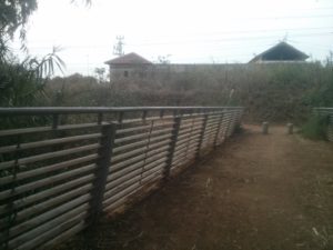 Pardes (Grove) Bahriya and new bridge over the Yarkon - Cannabis