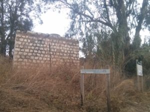 "Kanaf Levana" - The stone building with the plot of land on its northern side cover an area of 450 dunams (110 acres), and since the 1950's it was a private estate belonging to "Kanaf Levana", raising geese and growing citrus fruit. This area was purchased by Moashav Neve Yarak in 1972 and its members replaced the orange groves with a vineyard. Later the moshav's members uprooted the vineyard and opted for non-irrigated field corps in this plot. - Cannabis