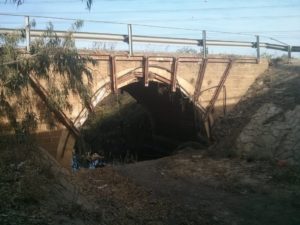 Turkish Bridge - The stone bridge across Shilo stream carried the main road from Yafo (Jaffa) to TulKarm and Shechem (Nablus). The road from Yafo passed Tell Gerisa (Napoleon Hill) on its way along the length of Yarkon river until it reached this bridge. After crossing Shilo creek it continued on to Yarkon River, about 200m to the north where there was an additional bridge. The Turks blew up the Yarkon bridge during the Great War to prevent the British forces advance northwards. The bridge on Shilo stream was left untouched. - Cannabis