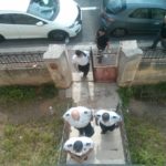 MDA workers are entering the apartment below - passover
