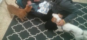 The pet welcome Jannaeus