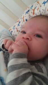 Jannaeus eating himself - work