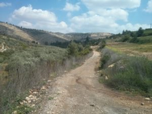 General view of the stream - Dolvim stream