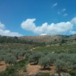 The Arab village Jania on the other side of the stream - Dolvim stream