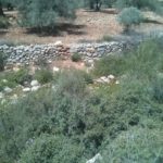The stream - Still flow a bit