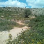 The Arab village Jania on the other side of the stream - Dolvim stream