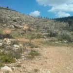 The trail junction - Left to Talmon settlement, right (over the bridge) to Dolev. We went forward, along the stream.   - Dolvim stream