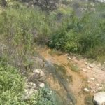 The stream - Still flow a bit