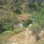 The stream - Still flow a bit