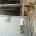   Tel Gezer The water system