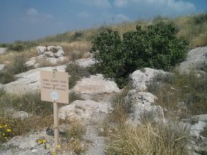 A sign says "Do not enter" and a fig - That must mean there is a beautiful cave down there 