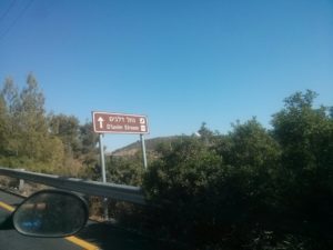 The sign to Dolvim stream