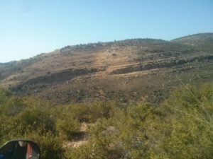 The cliffs on the other side of the stream (16 meter height)