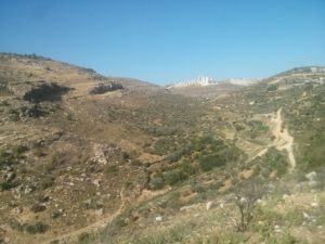 Looking up the stream to the outskirts of Al-Bireh