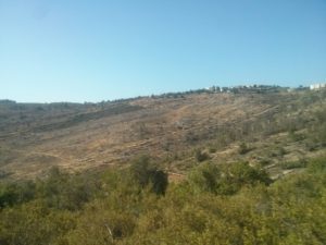 The settlement of Talmon across the creek