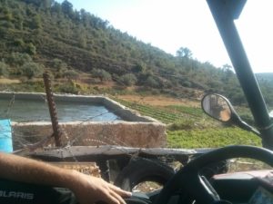The water pool that collect the stream for agriculture use
