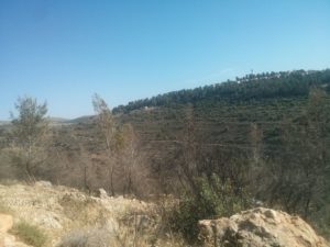 Dolev - you can see the water tower on the highest point