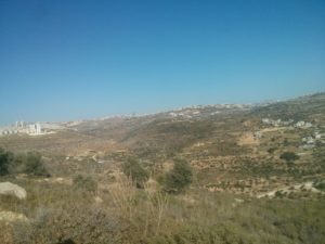 On the right you can see the higher buildings of Al-Bireh