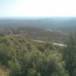 The view from the panorama - RZR