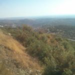 The view from the panorama - RZR