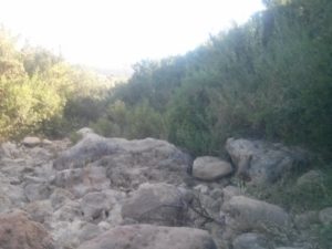 The dry stream - RZR