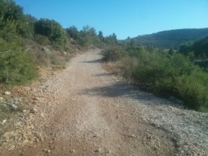 The trail up to Dolev, going through the vines of the Dolev - RZR