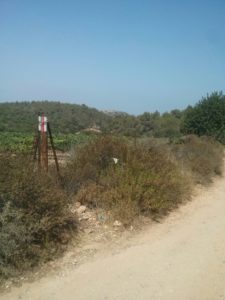 The red trail sign - Nahal Me'ara