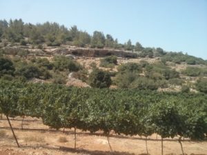 The caves - Nahal Me'ara
