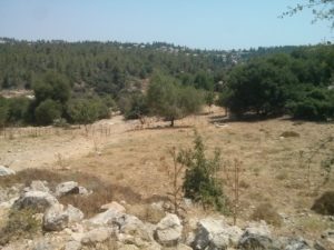 Just below the  ruins of the castle and the village, some cistern and the spring of Ain Haud.