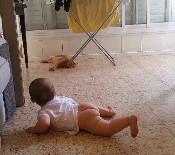 Prepare your home for the crawling baby