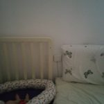 socket safety cover by Jannaeus bed - crawling