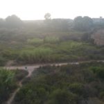 The view from the Kurkar ridge - looking forward- sick