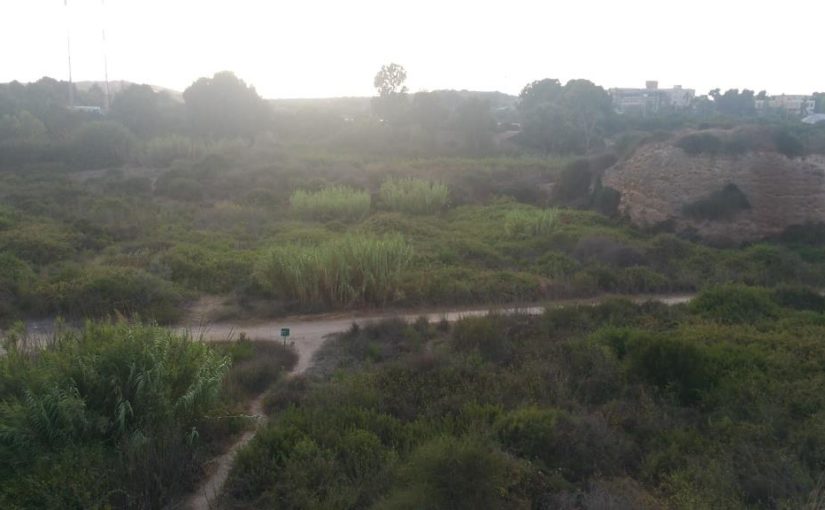The view from the Kurkar ridge - looking forward- sick